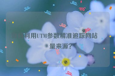 如何利用UTM參數(shù)精準(zhǔn)追蹤網(wǎng)站流量來源？