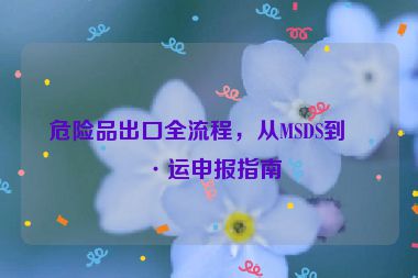 危險品出口全流程，從MSDS到海運(yùn)申報指南