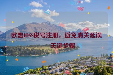 歐盟IOSS稅號注冊，避免清關(guān)延誤的關(guān)鍵步驟