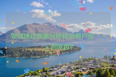 如何通過數(shù)據(jù)分析找出用戶流失的原因？