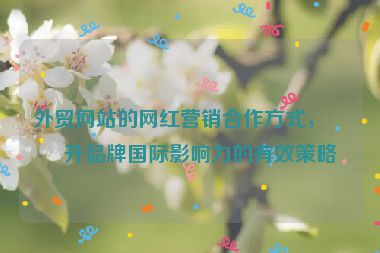 外貿(mào)網(wǎng)站的網(wǎng)紅營銷合作方式，提升品牌國際影響力的有效策略