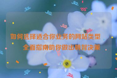 如何選擇適合你業(yè)務(wù)的網(wǎng)站類型？全面指南助你做出明智決策