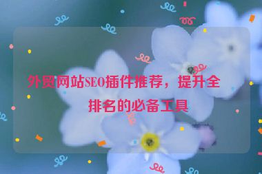 外貿(mào)網(wǎng)站SEO插件推薦，提升全球排名的必備工具