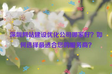 深圳網(wǎng)站建設(shè)優(yōu)化公司哪家好？如何選擇最適合您的服務(wù)商？