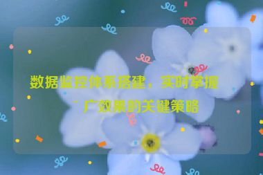 數(shù)據(jù)監(jiān)控體系搭建，實(shí)時(shí)掌握推廣效果的關(guān)鍵策略