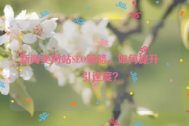 新聞?lì)惥W(wǎng)站SEO策略，如何提升索引速度？