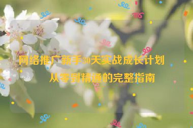 網(wǎng)絡(luò)推廣新手30天實(shí)戰(zhàn)成長(zhǎng)計(jì)劃，從零到精通的完整指南