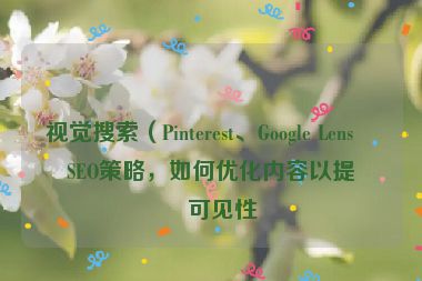 視覺搜索（Pinterest、Google Lens）SEO策略，如何優(yōu)化內(nèi)容以提升可見性