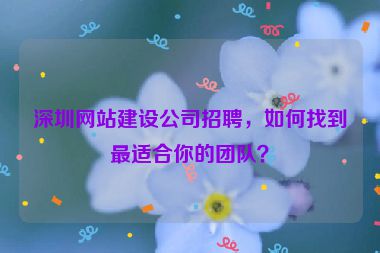 深圳網(wǎng)站建設(shè)公司招聘，如何找到最適合你的團隊？