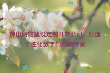 佛山網站建設定制開發(fā)公司，打造個性化數(shù)字門戶的專家