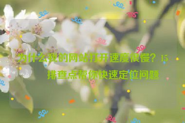 為什么我的網(wǎng)站打開速度很慢？15個排查點幫你快速定位問題