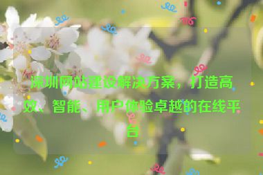 深圳網(wǎng)站建設(shè)解決方案，打造高效、智能、用戶體驗卓越的在線平臺
