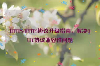 HTTPS/HTTP3協(xié)議升級(jí)指南，解決QUIC協(xié)議兼容性問(wèn)題