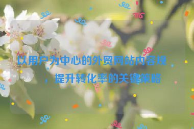 以用戶為中心的外貿(mào)網(wǎng)站內(nèi)容規(guī)劃，提升轉(zhuǎn)化率的關(guān)鍵策略