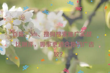 百度、360、搜狗搜索推廣實(shí)戰(zhàn)對(duì)比測(cè)評(píng)，哪家更適合你的廣告投放？