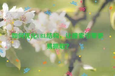 如何優(yōu)化URL結(jié)構(gòu)，讓搜索引擎更易抓??？