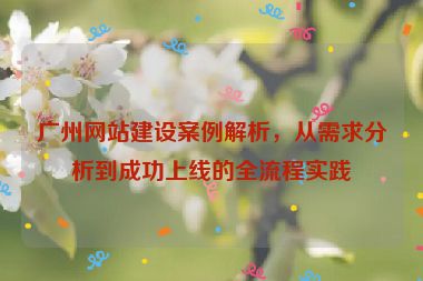 廣州網(wǎng)站建設(shè)案例解析，從需求分析到成功上線的全流程實(shí)踐