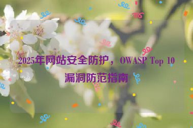 2025年網(wǎng)站安全防護(hù)，OWASP Top 10漏洞防范指南
