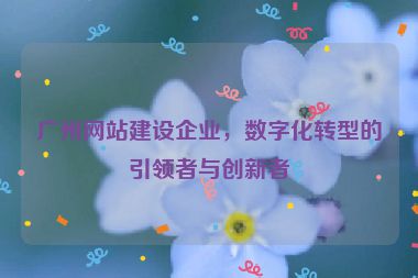 廣州網(wǎng)站建設(shè)企業(yè)，數(shù)字化轉(zhuǎn)型的引領(lǐng)者與創(chuàng)新者