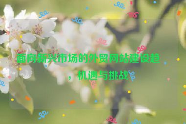 面向新興市場的外貿(mào)網(wǎng)站建設(shè)趨勢，機(jī)遇與挑戰(zhàn)