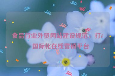 食品行業(yè)外貿(mào)網(wǎng)站建設(shè)規(guī)范，打造國際化在線營銷平臺