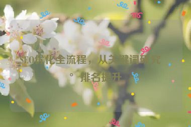 SEO優(yōu)化全流程，從關(guān)鍵詞研究到排名提升
