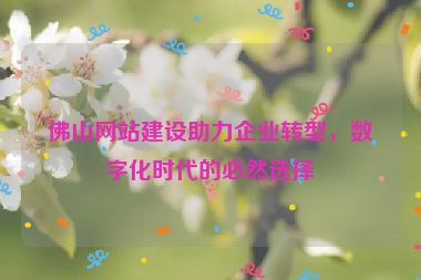 佛山網(wǎng)站建設(shè)助力企業(yè)轉(zhuǎn)型，數(shù)字化時代的必然選擇