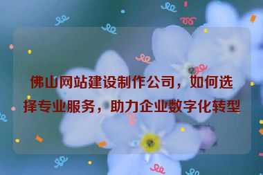 佛山網站建設制作公司，如何選擇專業(yè)服務，助力企業(yè)數(shù)字化轉型