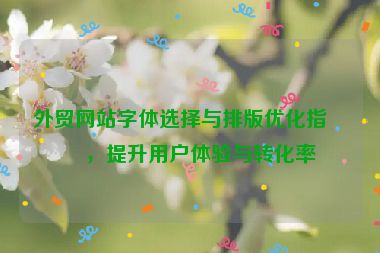 外貿(mào)網(wǎng)站字體選擇與排版優(yōu)化指南，提升用戶體驗與轉(zhuǎn)化率