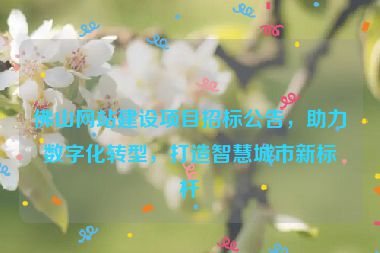 佛山網(wǎng)站建設(shè)項(xiàng)目招標(biāo)公告，助力數(shù)字化轉(zhuǎn)型，打造智慧城市新標(biāo)桿