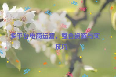 多平臺(tái)電商運(yùn)營(yíng)，整合資源與實(shí)戰(zhàn)技巧