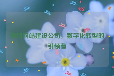 深圳網(wǎng)站建設(shè)公司，數(shù)字化轉(zhuǎn)型的引領(lǐng)者