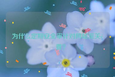 為什么定期安全審計對網(wǎng)站至關(guān)重要？