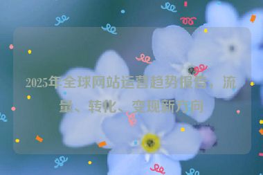 2025年全球網(wǎng)站運營趨勢報告，流量、轉(zhuǎn)化、變現(xiàn)新方向