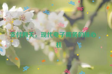 支付網(wǎng)關(guān)，現(xiàn)代電子商務(wù)的核心支柱