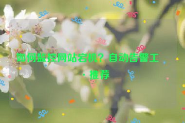 如何監(jiān)控網(wǎng)站宕機(jī)？自動(dòng)告警工具推薦