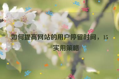 如何提高網(wǎng)站的用戶停留時(shí)間，15個(gè)實(shí)用策略