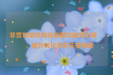 非營利組織網(wǎng)站捐贈功能優(yōu)化案例，提升轉化率的關鍵策略