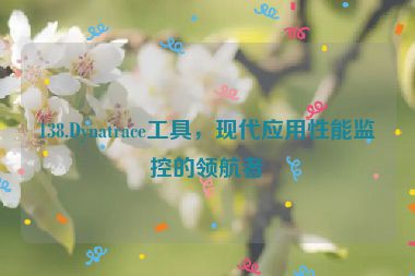 138.Dynatrace工具，現(xiàn)代應(yīng)用性能監(jiān)控的領(lǐng)航者