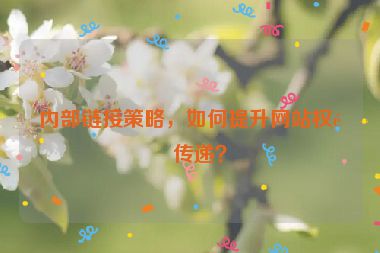 內(nèi)部鏈接策略，如何提升網(wǎng)站權(quán)重傳遞？