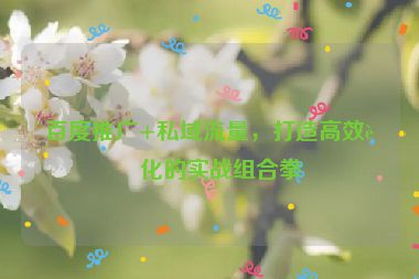 百度推廣+私域流量，打造高效轉(zhuǎn)化的實(shí)戰(zhàn)組合拳