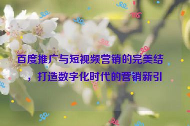 百度推廣與短視頻營(yíng)銷的完美結(jié)合，打造數(shù)字化時(shí)代的營(yíng)銷新引擎