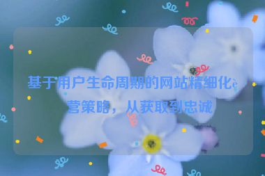 基于用戶生命周期的網(wǎng)站精細化運營策略，從獲取到忠誠