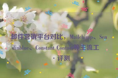 郵件營銷平臺對比，Mailchimp、Sendinblue、Constant Contact等主流工具評測