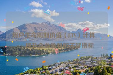 用戶生命周期價值（LTV）計算，提升企業(yè)盈利的關(guān)鍵指標
