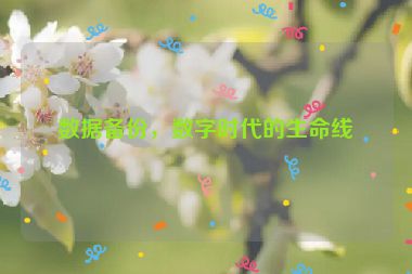 數(shù)據(jù)備份，數(shù)字時(shí)代的生命線