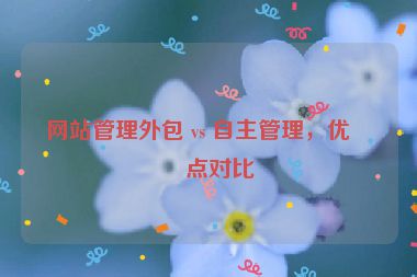 網(wǎng)站管理外包 vs 自主管理，優(yōu)缺點(diǎn)對(duì)比