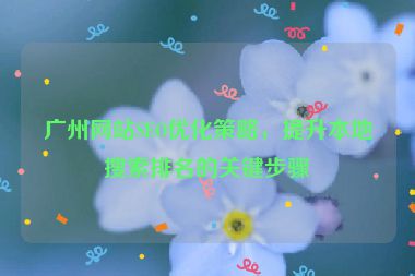 廣州網(wǎng)站SEO優(yōu)化策略，提升本地搜索排名的關(guān)鍵步驟