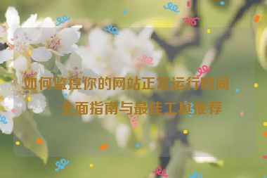 如何監(jiān)控你的網(wǎng)站正常運(yùn)行時(shí)間？全面指南與最佳工具推薦