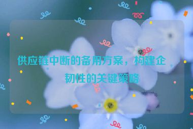 供應(yīng)鏈中斷的備用方案，構(gòu)建企業(yè)韌性的關(guān)鍵策略